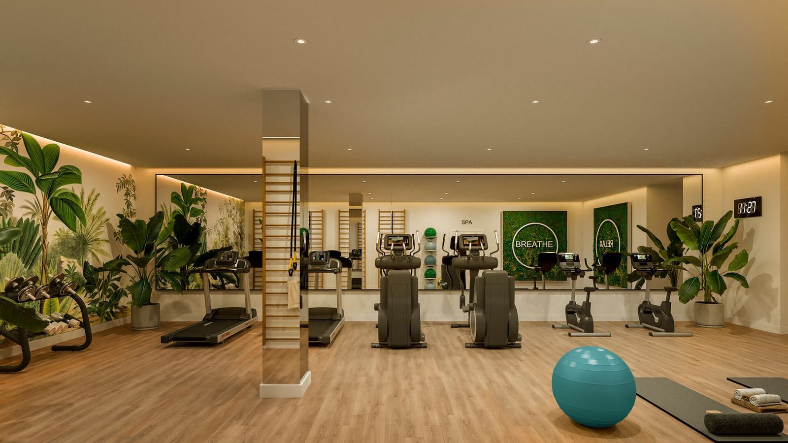 04 modern gym equipped
